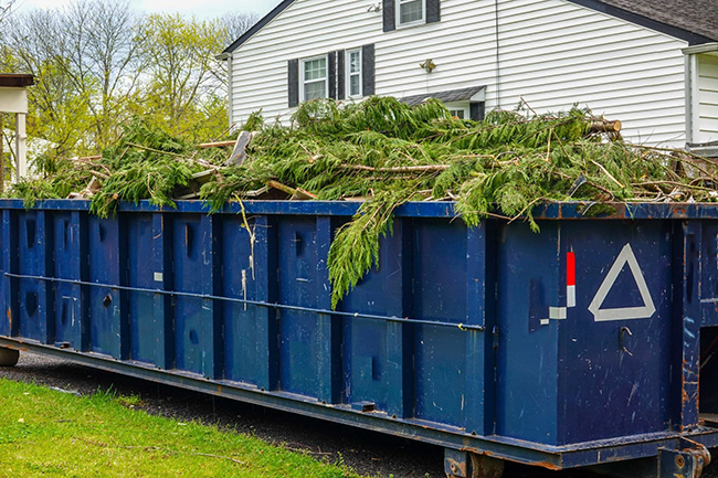 Best dumpster rental